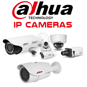 IP Cameras