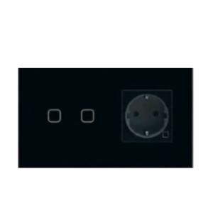 2-Gang Smart Switch & Socket